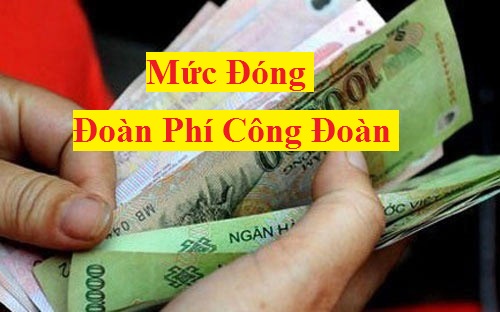 mức đóng đoàn phí công đoàn