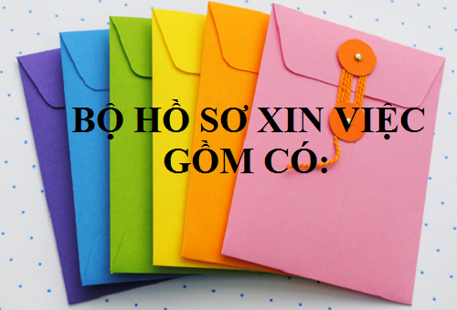 Hồ sơ xin việc