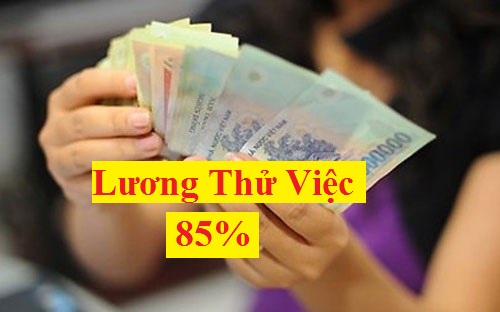 Mức lương thử việc